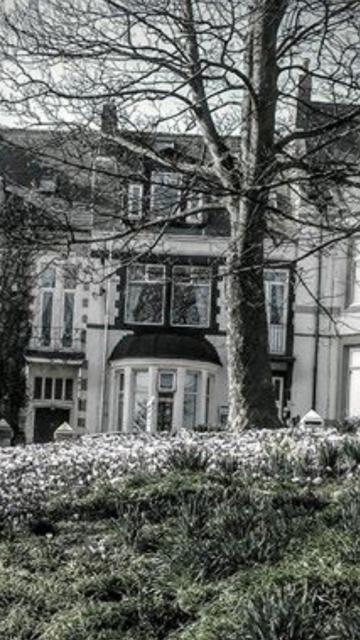 Seacrest Guest House South Shields Exterior foto